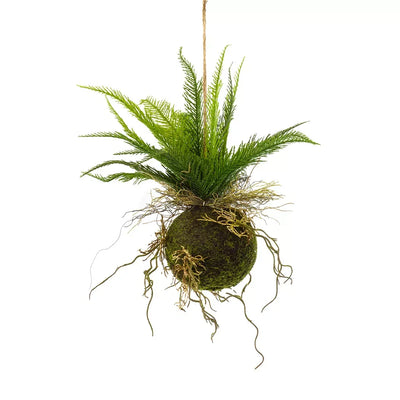 Hanging Plant - Thin Fern & Moss Ball - Herb Ball