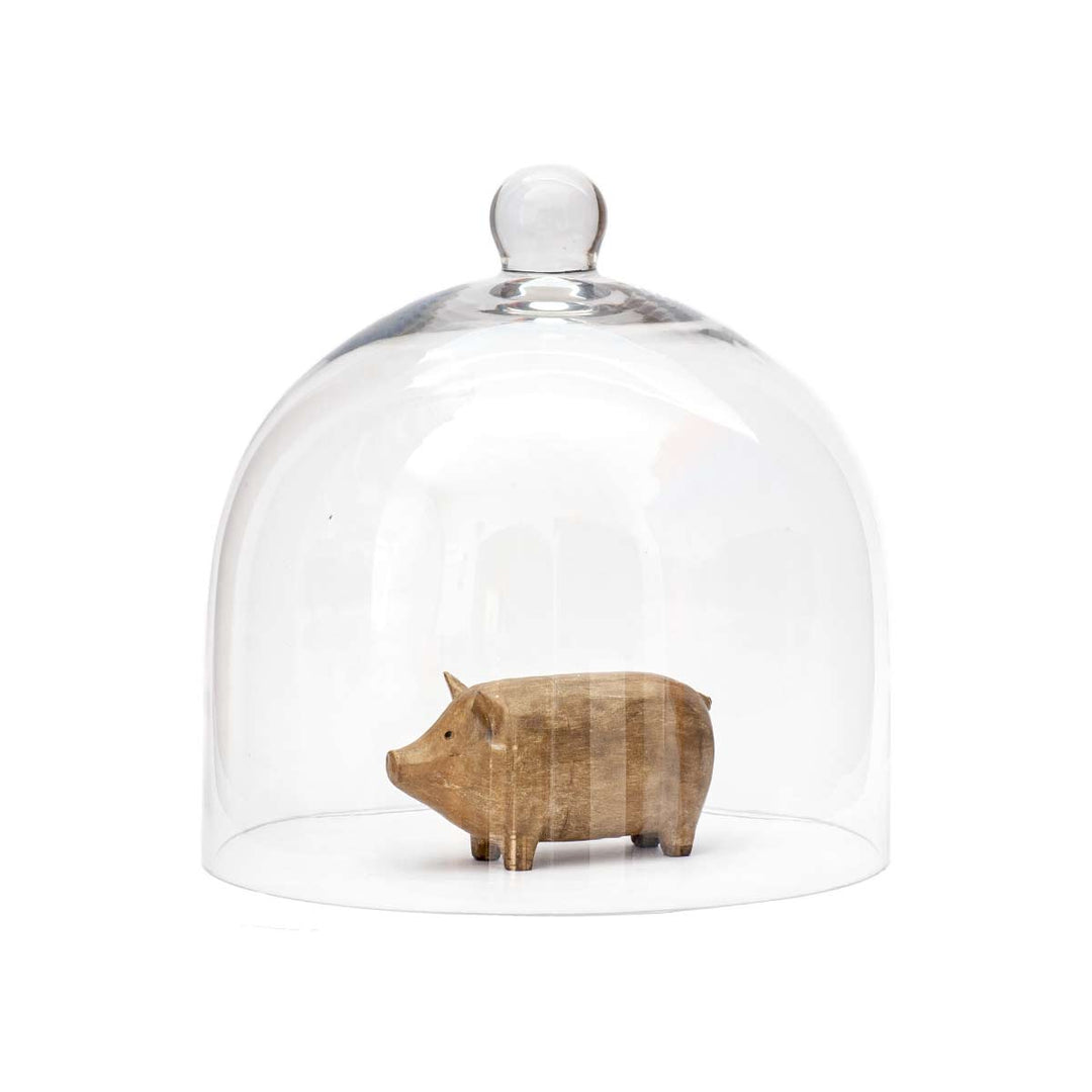 Glass Domes