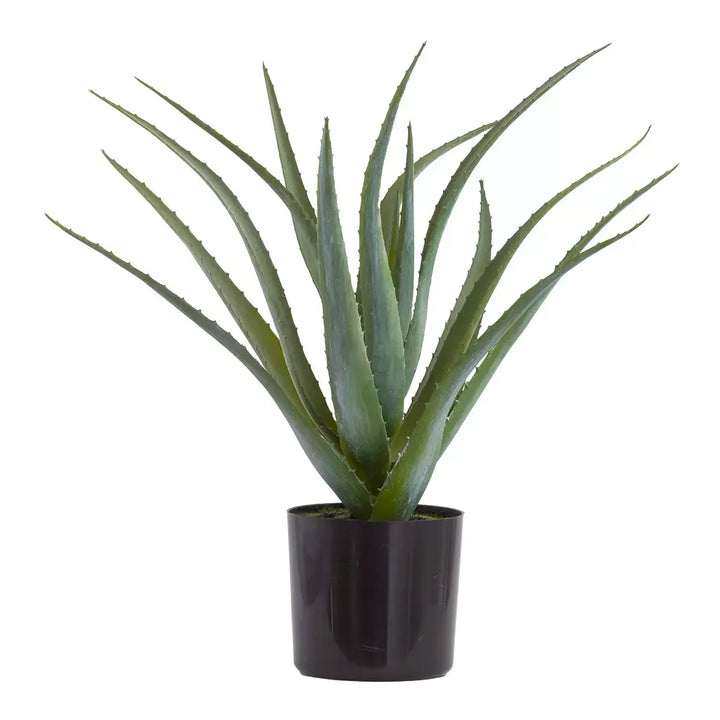 Aloe - Majestic 45cm - Herb Ball