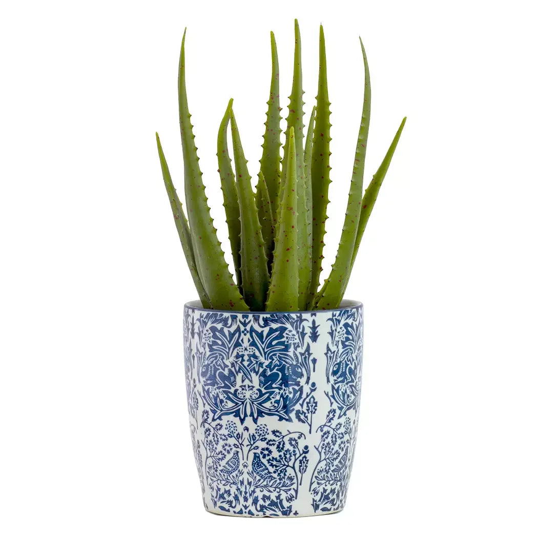 Aloe - Sunkissed 43cm - Herb Ball