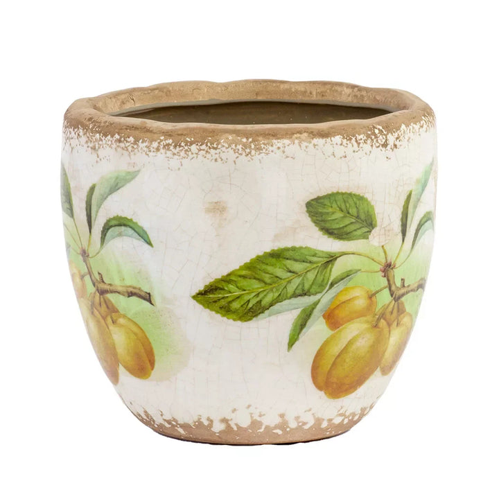Ceramic Planter - Harvest Classic 11.5cm - Ceramic