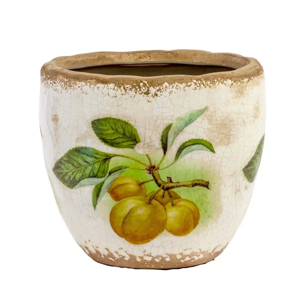 Ceramic Planter - Harvest Classic 11.5cm - Ceramic
