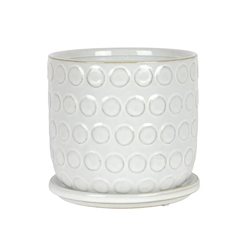 Ceramic Planter - White Buttons with Base - Ceramic