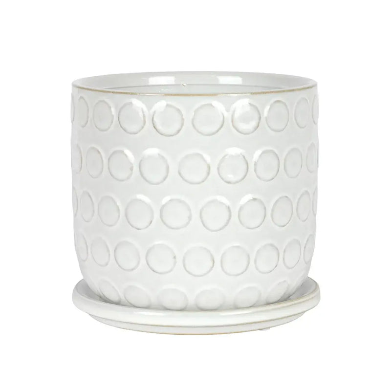 Ceramic Planter - White Buttons with Base - Ceramic
