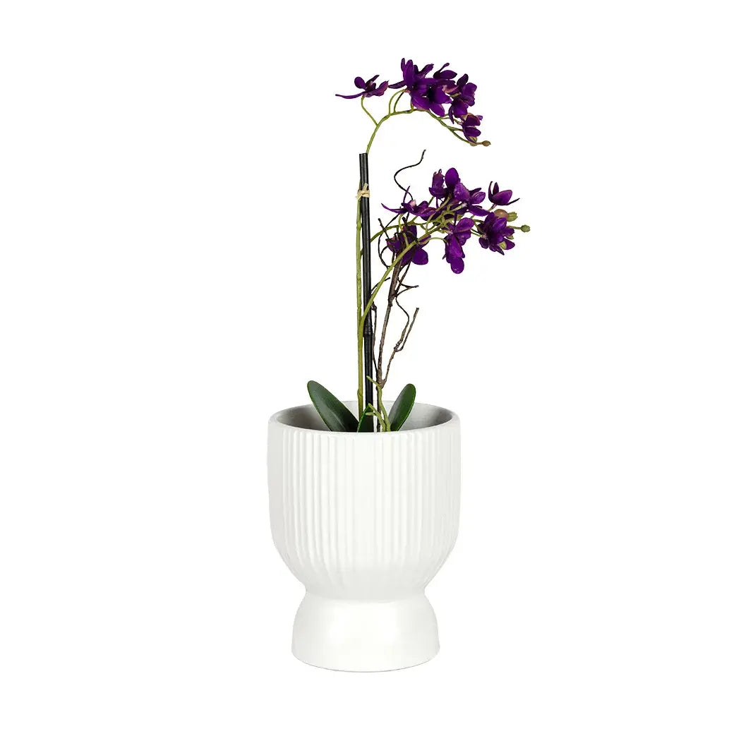 Ceramic Planter - White Lines Elevated 18cm - Ceramic