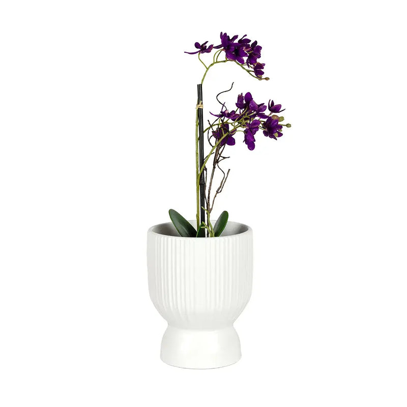 Ceramic Planter - White Lines Elevated 18cm - Ceramic