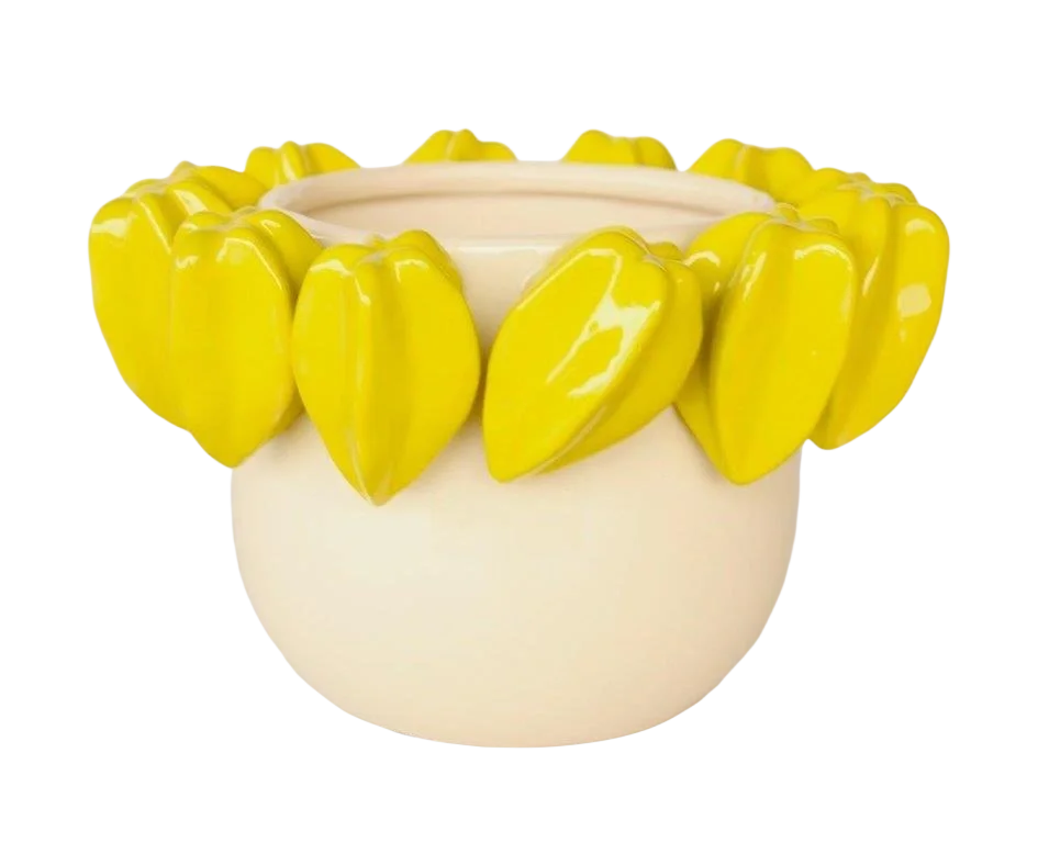 Ceramic Planter - Yellow Pods 14.5cm - Ceramic