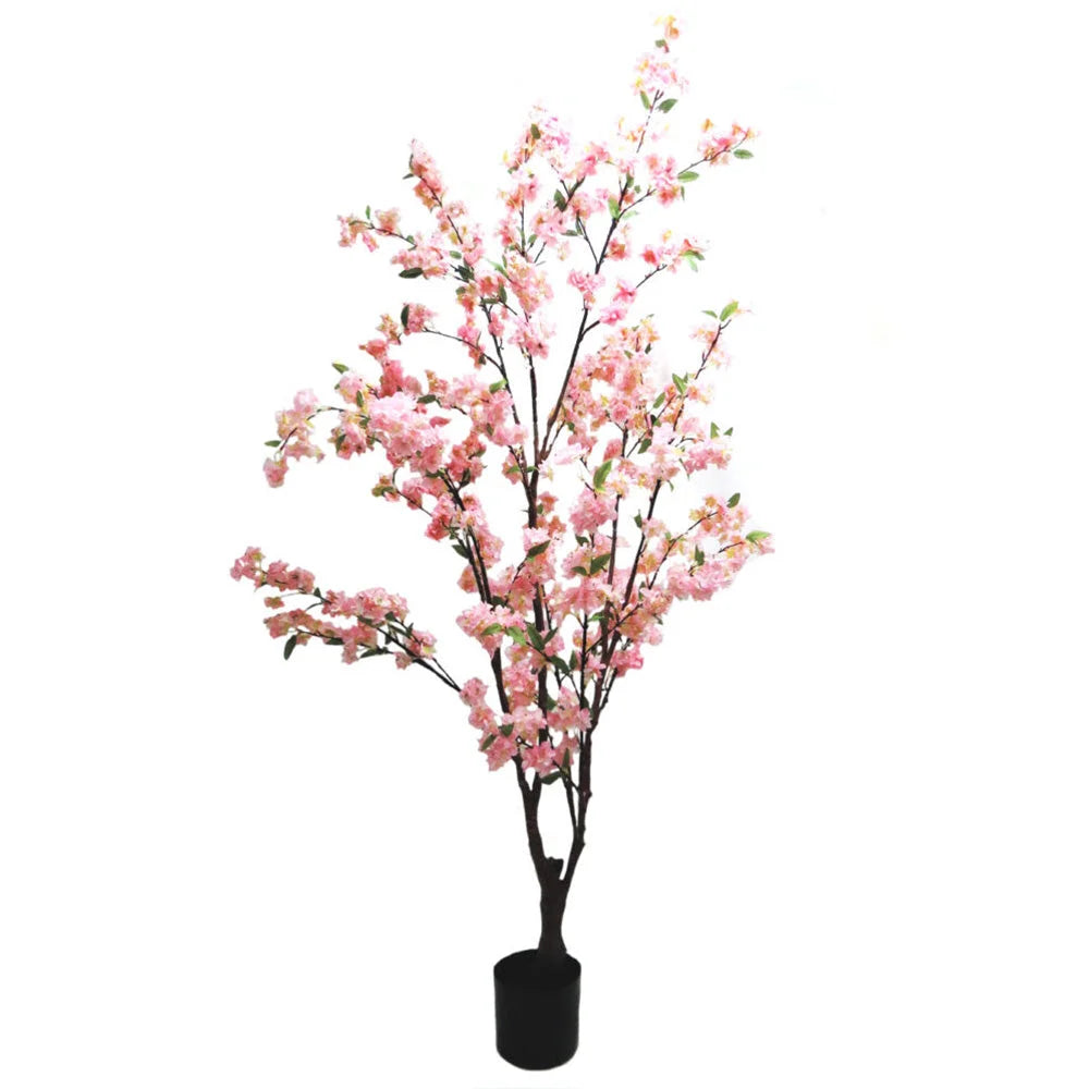 Cherry Blossom Tree - Pink 165cm - Plant