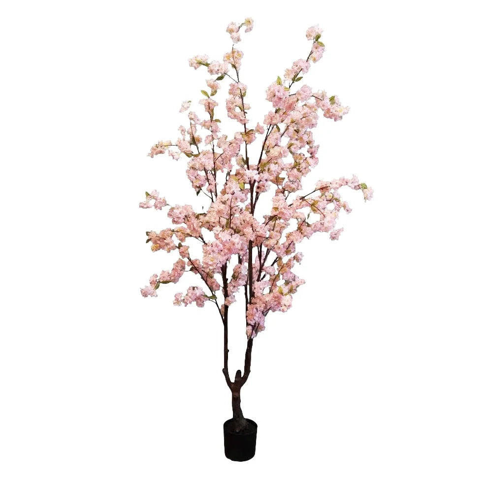 Cherry Blossom Tree - Pink 195cm - Plant