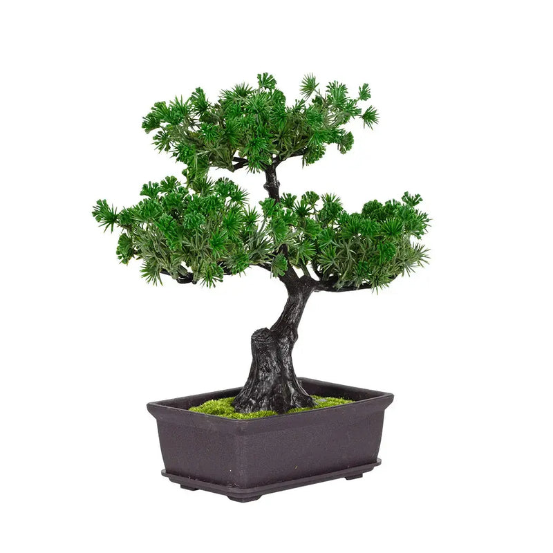 Faux Bonsai - 28cm - Plant