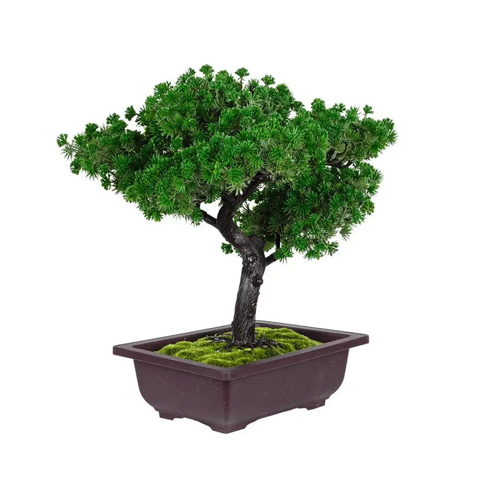 Faux Bonsai - Large 35cm - Plant