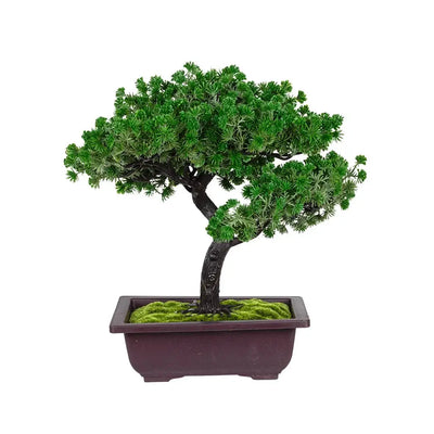 Faux Bonsai - Large 35cm - Plant