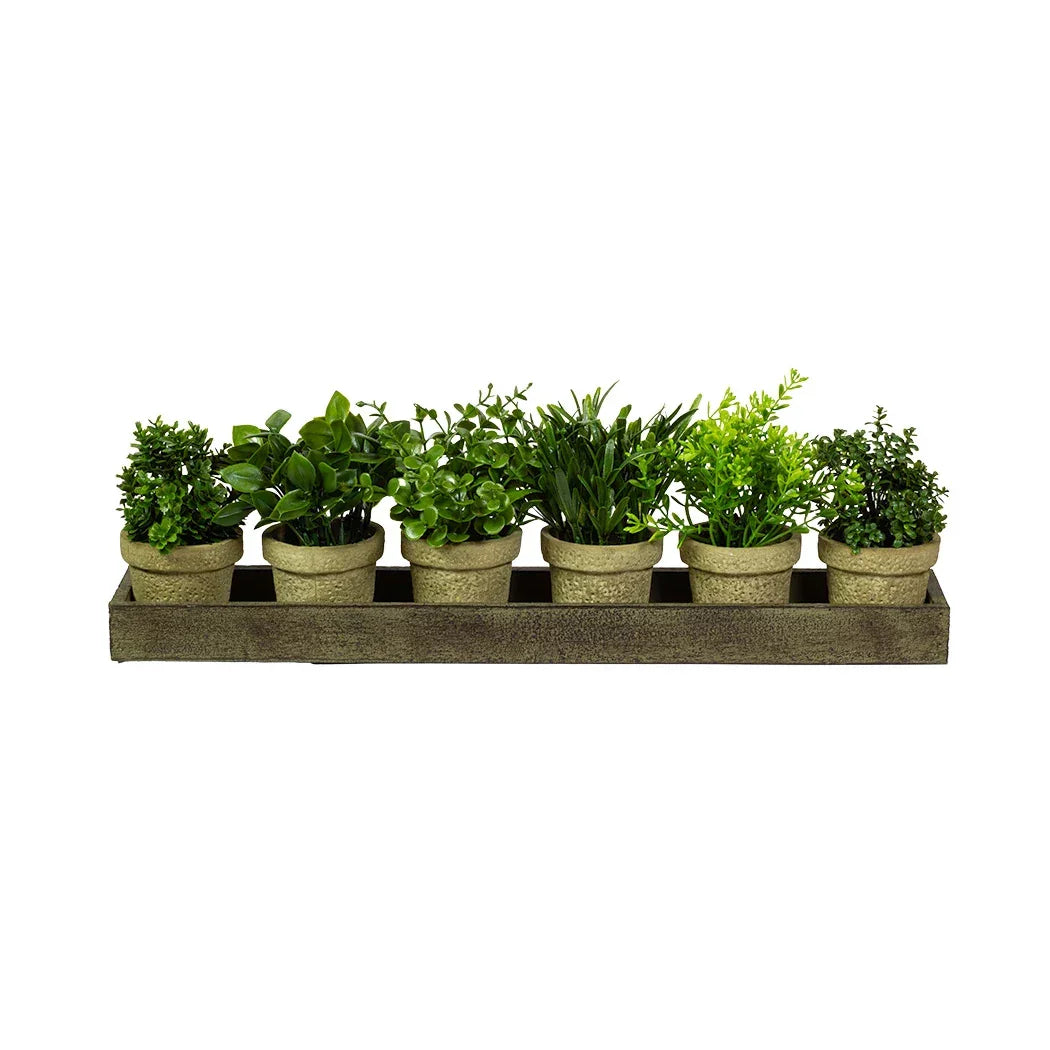 Faux Herb Bush Set in Tray - Plant