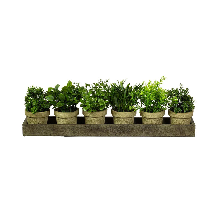 Faux Herb Bush Set in Tray - Plant