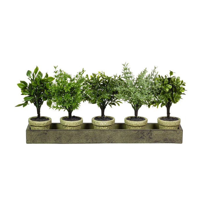 Faux Tree Set in Tray - Plant
