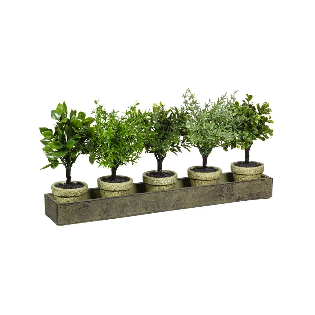 Faux Tree Set in Tray - Plant
