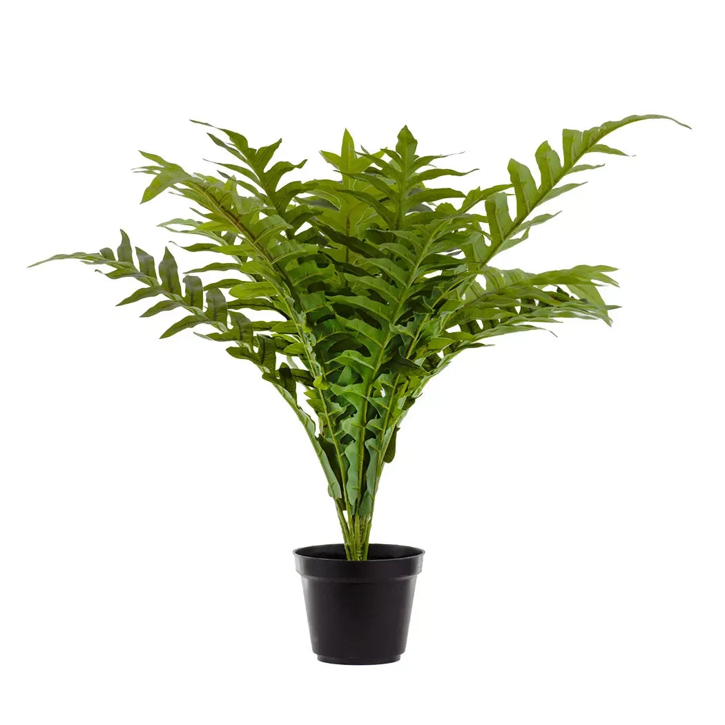 Fern - Hare’s Foot 53cm - Herb Ball
