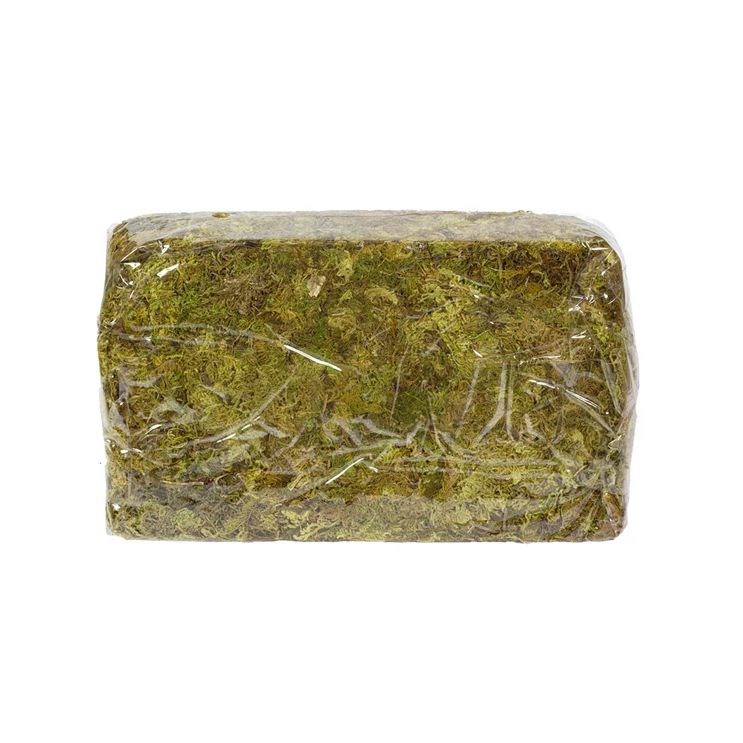 Floristry Moss - Natural 200g - Greenery