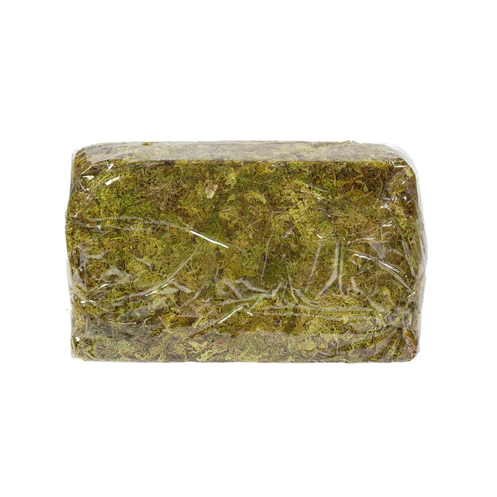Floristry Moss - Natural 200g - Greenery