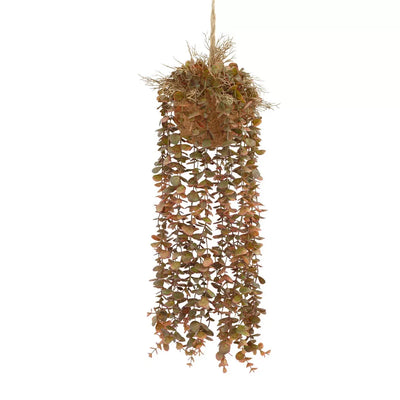 Hanging Plant - Autumn Succulent - Herb Ball