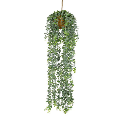 Hanging Plant - Classic - Herb Ball