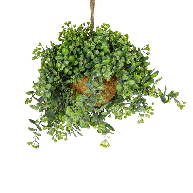 Hanging Plant - Eucalyptus Seeds - Herb Ball