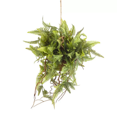 Hanging Plant - Fern Bush 35cm - Herb Ball