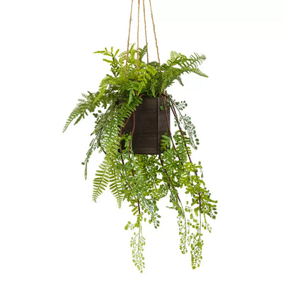 Hanging Plant - Fern Bush in Planter - Herb Ball