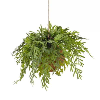 Hanging Plant - Fern Enchanting - Herb Ball