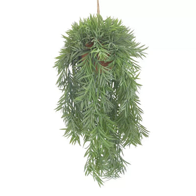 Hanging Plant - Palm Frond - Herb Ball