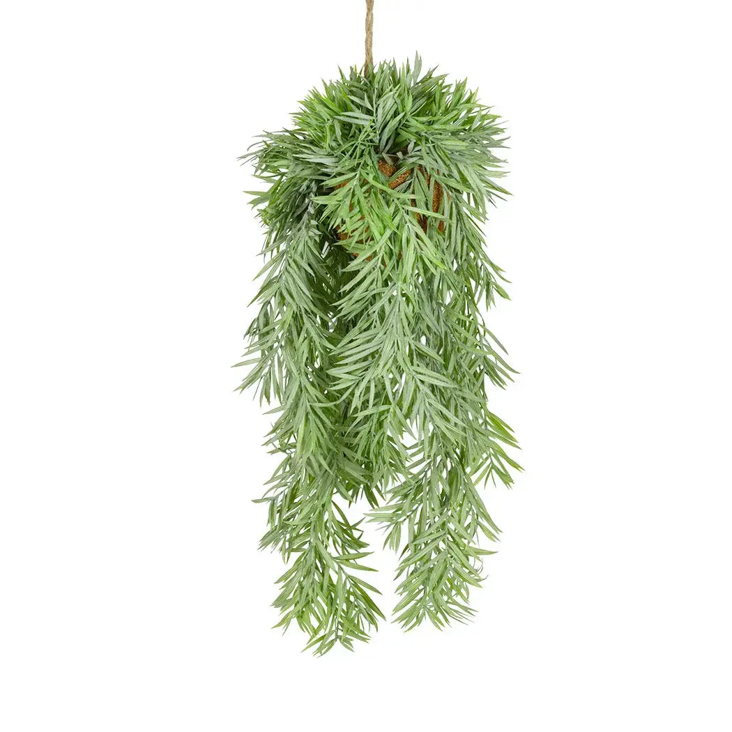 Hanging Plant - Palm Frond - Herb Ball