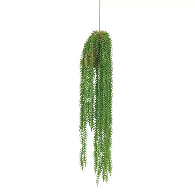 Hanging Plant - Succulent Strings - Herb Ball