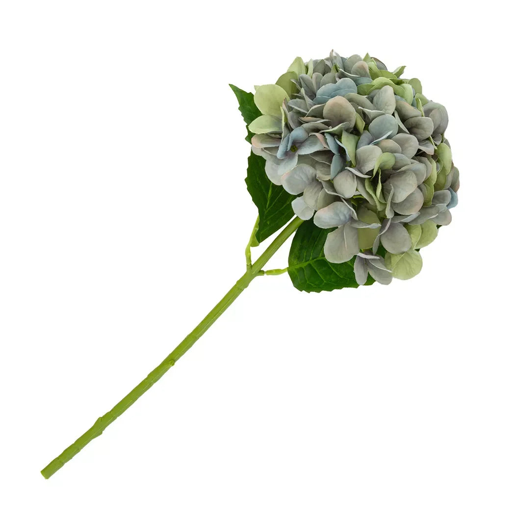 Hydrangea - Blue &amp; Greens - Greenery