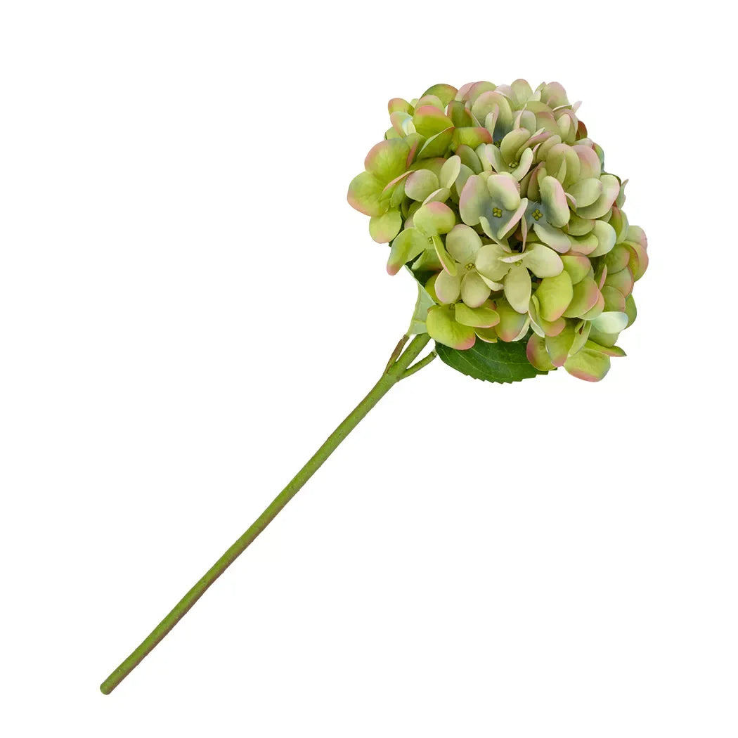 Hydrangea - Blue Pink &amp; Light Green - Greenery