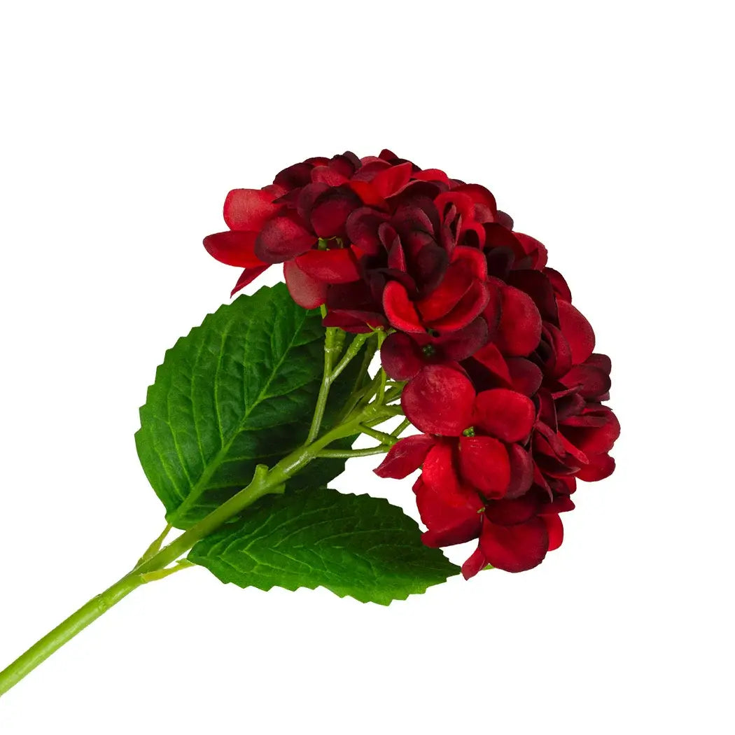 Hydrangea - Deep Red - Greenery