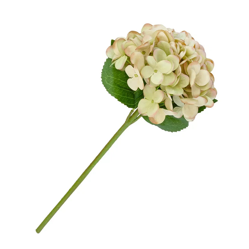 Hydrangea - Light Green & Pinks - Greenery