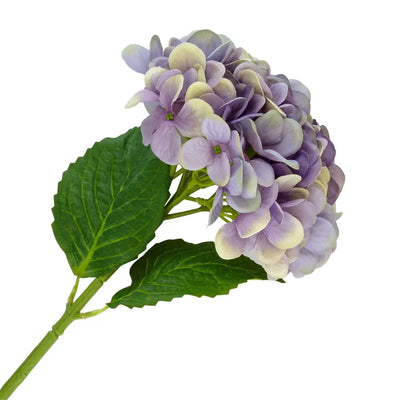 Hydrangea - Lilac Purple - Greenery