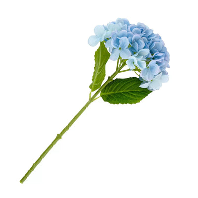 Hydrangea - Ocean Blue - Greenery