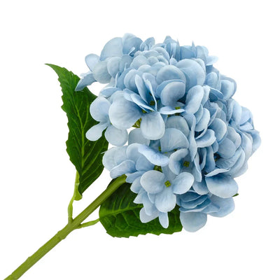 Hydrangea - Powder Blue - Greenery