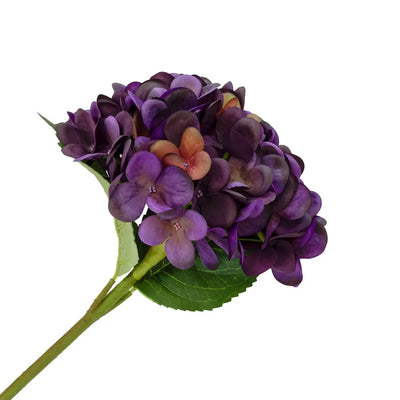 Hydrangea - Purple Velvet - Greenery