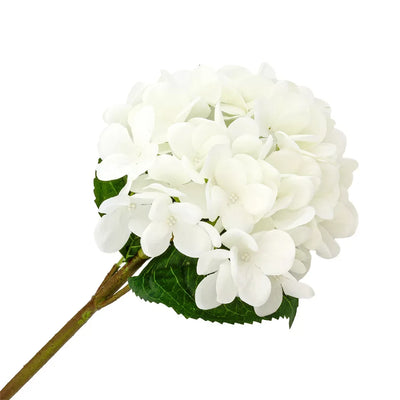 Hydrangea - White - Greenery