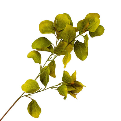 Leaf Branch - Eucalyptus Greens 78cm - Herb Ball