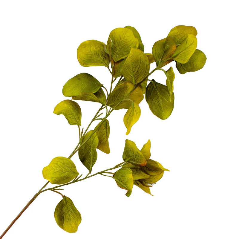 Leaf Branch - Eucalyptus Greens 78cm - Herb Ball