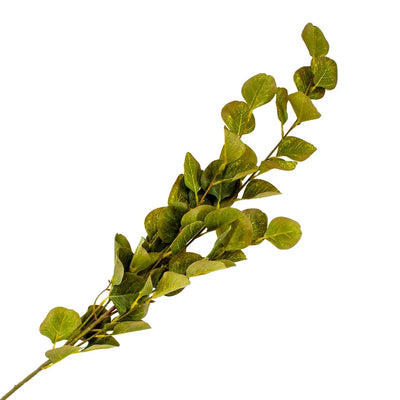 Leaf Branch - Eucalyptus Light Classic 92cm - Herb Ball