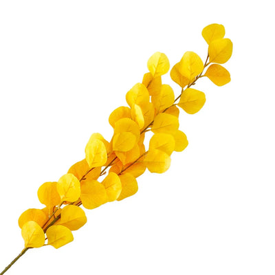 Leaf Branch - Eucalyptus Yellows 92cm - Herb Ball