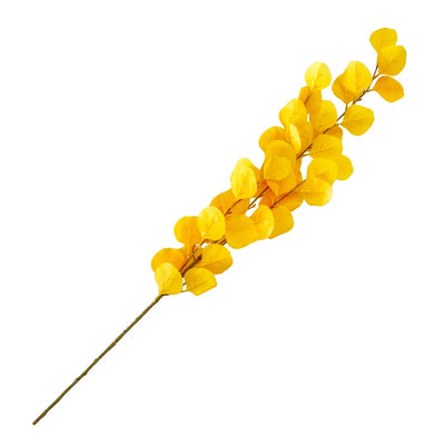 Leaf Branch - Eucalyptus Yellows 92cm - Herb Ball