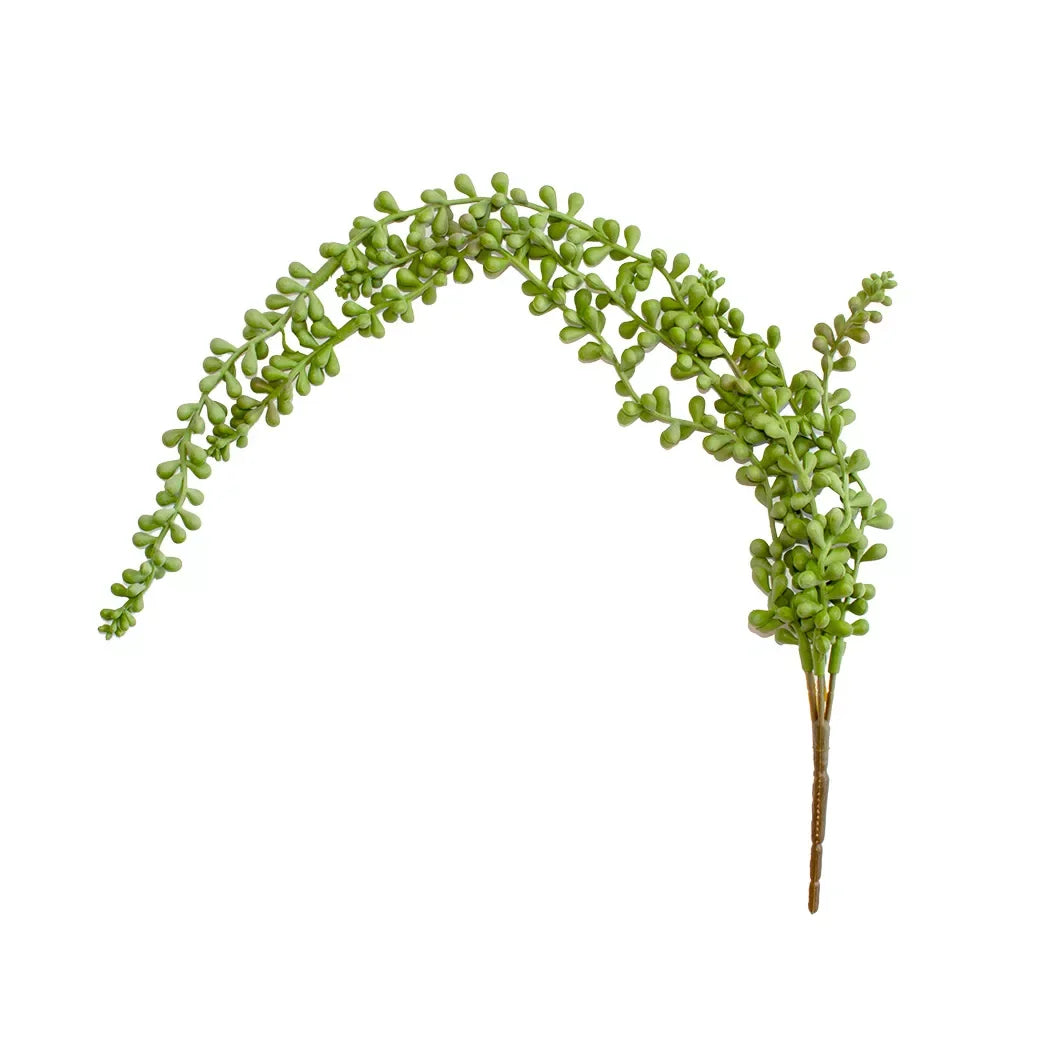 Leaf String - Succulent Pearls 60cm - Herb Ball