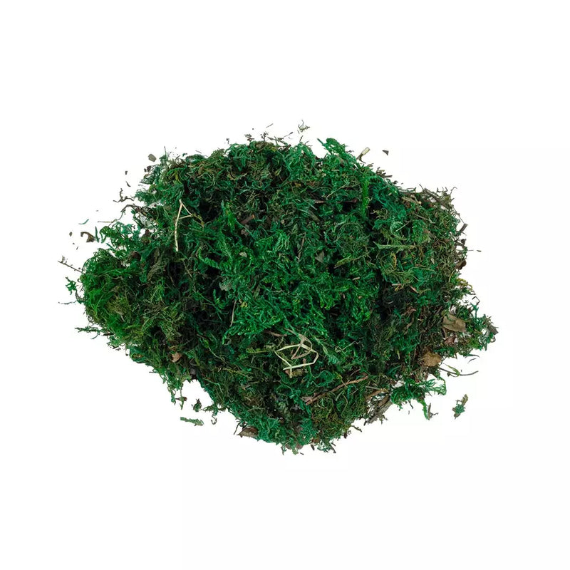 Floristry Moss - 40g
