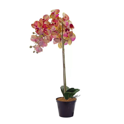 Orchid - Dual Vibrant - Herb Ball