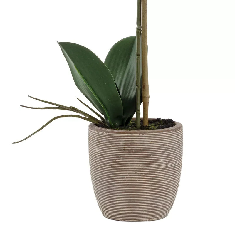 Orchid - Lined Ceramic Pot 47cm - Herb Ball